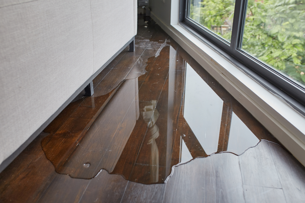 water damage restoration