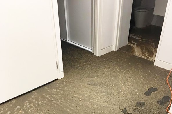Sewage Water Damage
