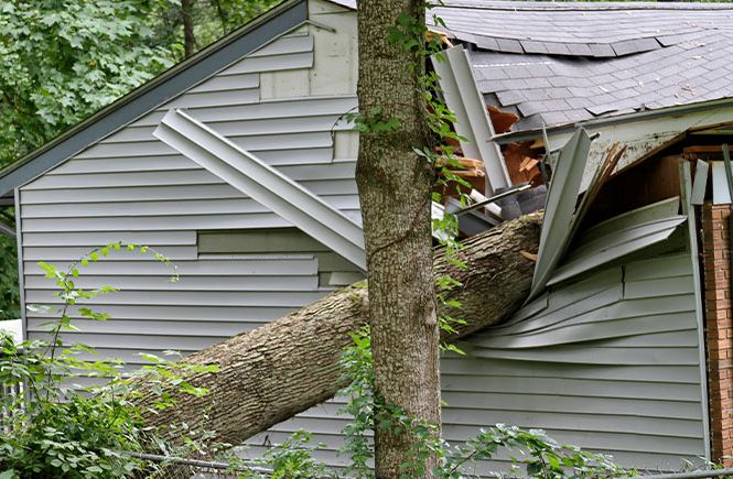 storm damage restoration