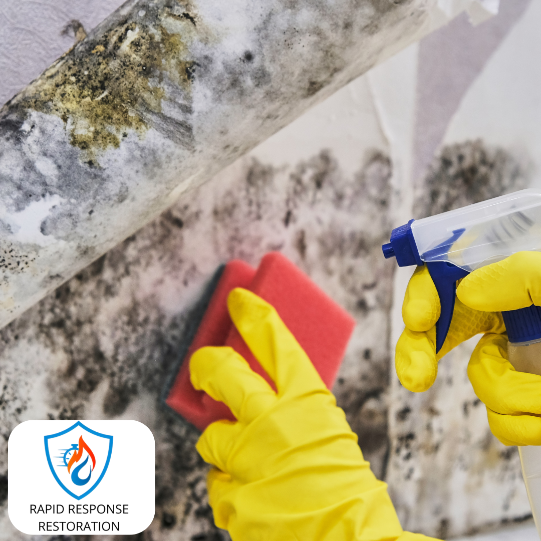Mold Remediation