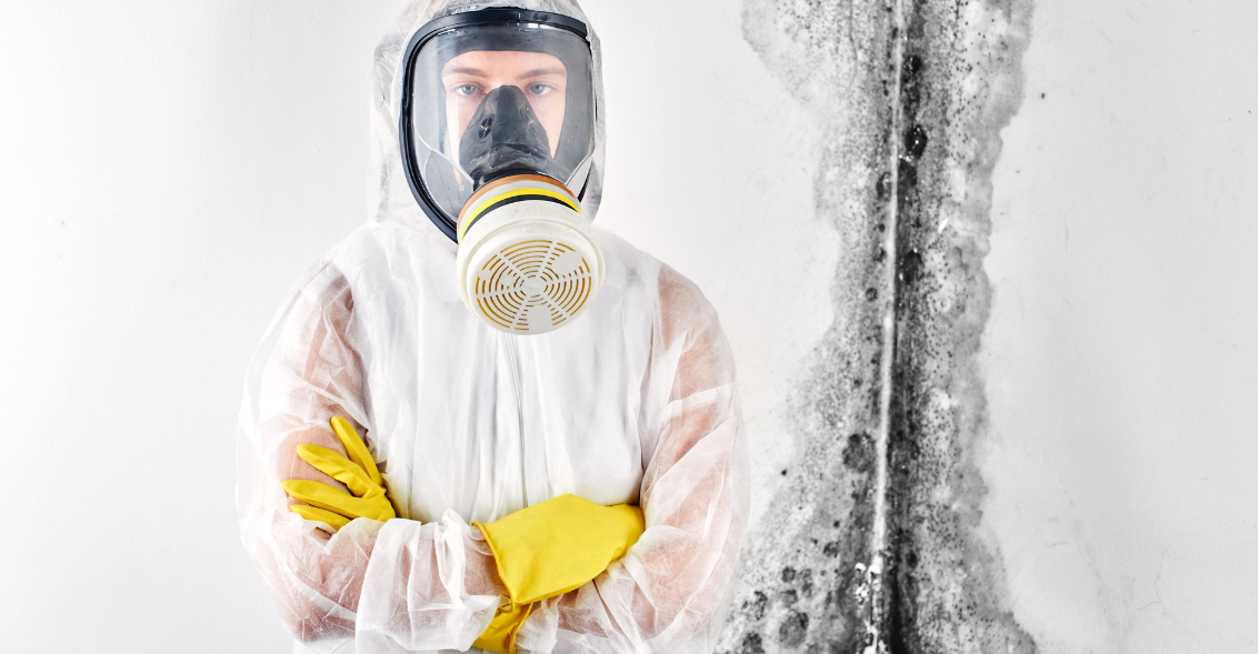 Mold Inspector